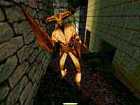 thief4.JPG (12601 bytes)