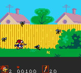 shot1-01.jpg (8290 bytes)