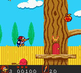 shot2-01.jpg (9905 bytes)