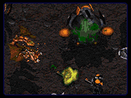 sc2.GIF (22511 bytes)