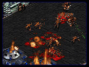 sc5.GIF (17049 bytes)