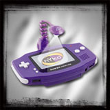 wormlightplus-01.jpg (7080 bytes)